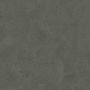 DN_Elephant - 