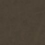 HV_Roasted - 