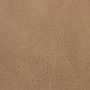 SW0369 - Camel