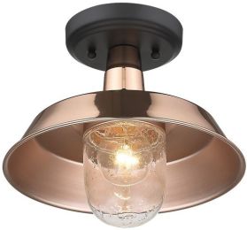 Burry Exterior Convertible Pendant (1 Light - Copper and Clear) 