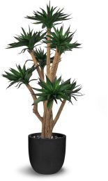 Agave (42 Inch - Green) 