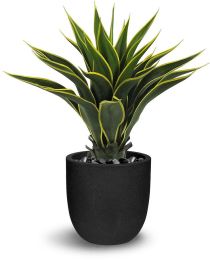 Agave Botanical (24 In - Green & Yellow) 