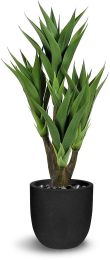 Agave (40 Inch - Green) 