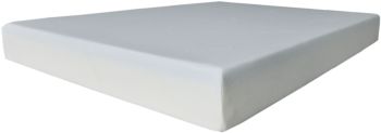 Divine Plush 8 inch Gel Foam Mattress (Twin XL) 